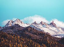 b体育-中国速滑队世界杯第三站仅获一铜 高亭宇未进前十